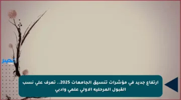 ارتفاع جديد في مؤشرات تنسيق الجامعات 2025.. تعرف على نسب القبول المرحلية الأولى علمي وأدبي